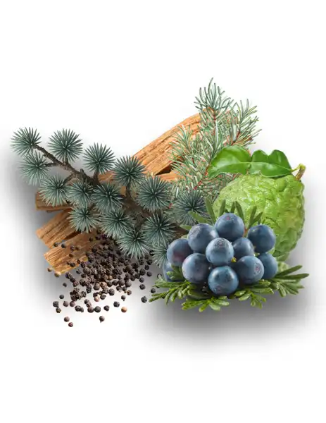 Hero Burberry Type Clean Fragrance - Fragrances